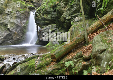 Nyznerov Wasserfälle auf der Siver Bach, Tschechische Republik. Silver Creek Falls, auch Nyznerov Wasserfälle liegt in der Ortschaft obere Skorosice zu 12 hect Stockfoto