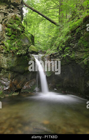 Nyznerov Wasserfälle auf der Siver Bach, Tschechische Republik. Silver Creek Falls, auch Nyznerov Wasserfälle liegt in der Ortschaft obere Skorosice zu 12 hect Stockfoto