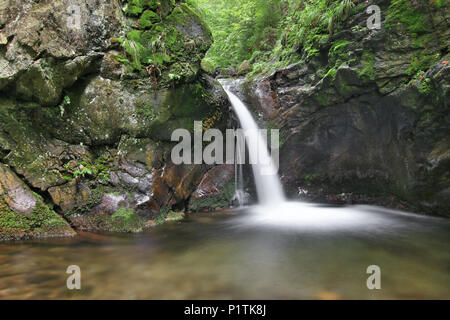 Nyznerov Wasserfälle auf der Siver Bach, Tschechische Republik. Silver Creek Falls, auch Nyznerov Wasserfälle liegt in der Ortschaft obere Skorosice zu 12 hect Stockfoto