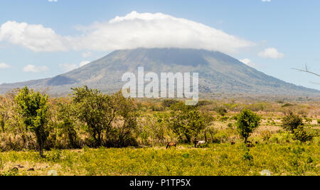 Ometepe Vulkaninsel Stockfoto