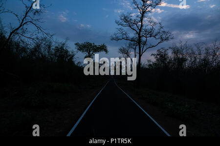 Staub der Straße durch den Wald, Tadoba-Andhari Tiger Reserve, Maharashtra, Indien, mit Hügeln auf Distanz, eine majestätische Aussicht, Sommer Stockfoto