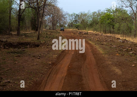 Staub der Straße durch den Wald, Tadoba-Andhari Tiger Reserve, Maharashtra, Indien, mit Hügeln auf Distanz, eine majestätische Aussicht, Sommer Stockfoto