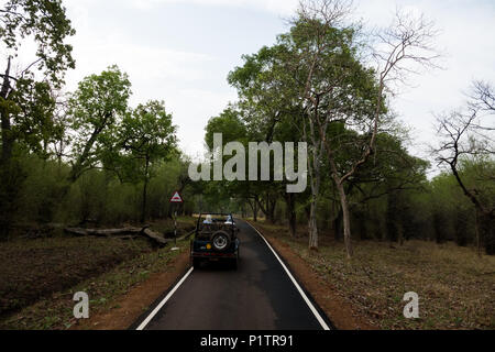 Staub der Straße durch den Wald, Tadoba-Andhari Tiger Reserve, Maharashtra, Indien, mit Hügeln auf Distanz, eine majestätische Aussicht, Sommer Stockfoto