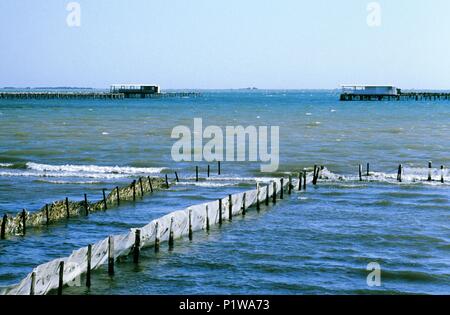 Montsià: Parque Natural del/Delta del Ebro Naturpark; molusc Zucht (montsià). Stockfoto