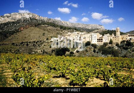 El Priorat: La Vilella Baixa (El Priorat); Stadt Weinbergen im Herbst. Stockfoto