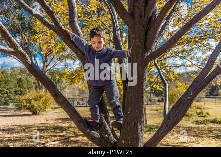 Kleinen Jungen einen Baum in Australien. Stockfoto