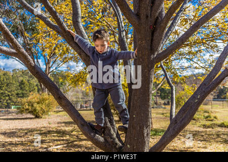 Kleinen Jungen einen Baum in Australien. Stockfoto