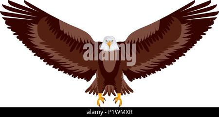 American Eagle offenen Flügeln vogel Vector Illustration Stock Vektor