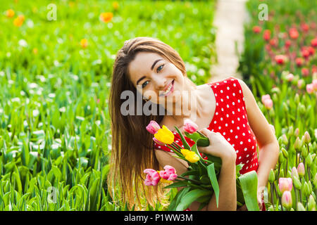 Frau schneidet die Tulpen Stockfoto