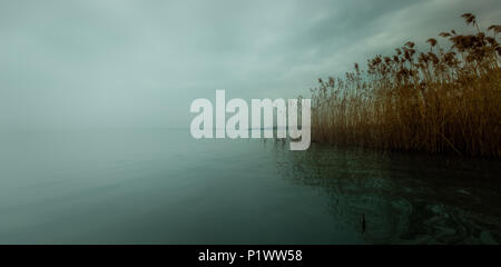 Plattensee Nebel Stockfoto