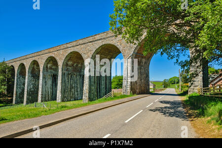 TOMATIN STEIN EISENBAHNVIADUKT mit Baum und Blätter im Frühling Stockfoto