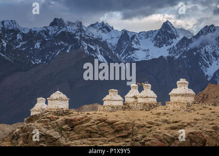 Buddhistische chörten oder Stupas in Likir Gompa Kloster, Leh, Ladakh, Jammu und Kaschmir, Indien Stockfoto