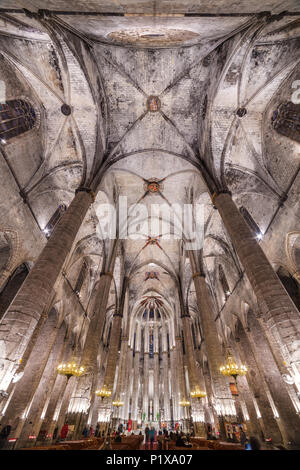 Barcelona, Spanien - 25. März 2018: Die Decke der gotische Kirche Santa Maria del Mar in der Ribera Viertel von Barcelona, Spanien Stockfoto