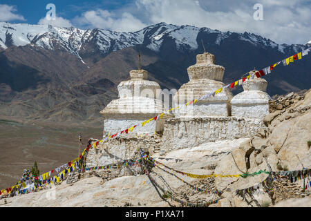 Buddhistische chörten oder Stupas und Himalaya Gebirge im Hintergrund in der Nähe von Shey Palast in Ladakh, Indien Stockfoto