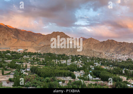 Schöne Aussicht auf den Sonnenuntergang von Leh Stadt und Grün Indus Tal mit tsemo Maitreya Tempel auf der Spitze des Hügels, Jammu und Kaschmir, Indien. Stockfoto