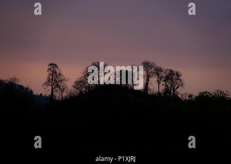 Staub der Straße durch den Wald, Tadoba-Andhari Tiger Reserve, Maharashtra, Indien, mit Hügeln auf Distanz, eine majestätische Aussicht, Sommer Stockfoto