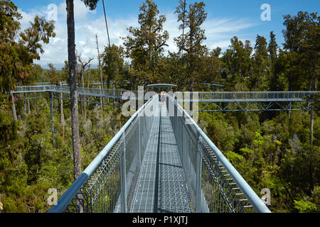 Touristen auf Treetop Walk, in der Nähe von Hokitika, West Coast, South Island, Neuseeland (Model Released) Stockfoto