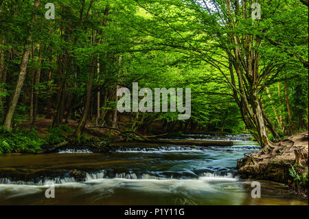 Stromschnellen auf dem Fluss Tanew Stockfoto