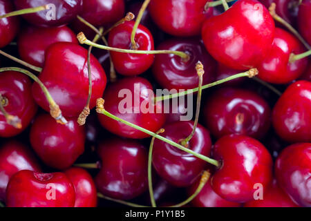 In der Nähe von Pile von reifen Kirschen mit Stengel und Blätter. Reifen Kirschen Hintergrund. Stockfoto