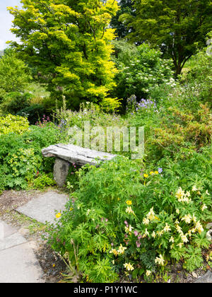 Silbrig Holz- rustic Bank schmiegt sich unter dichten krautigen Pflanzen im Garten Haus, Buckland Monachorum, Devon, Großbritannien Stockfoto