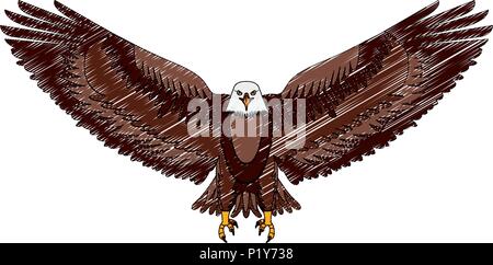 American Eagle offenen Flügeln vogel Vector Illustration Zeichnung Stock Vektor
