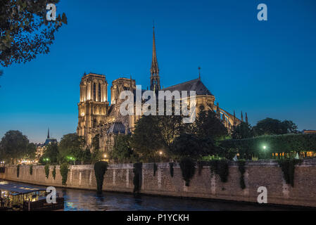 Frankreich, Ile de France, Paris, 4. Bezirk, Notre-Dame in der Nacht, am Ufer der Seine, Ile de la Cite Stockfoto