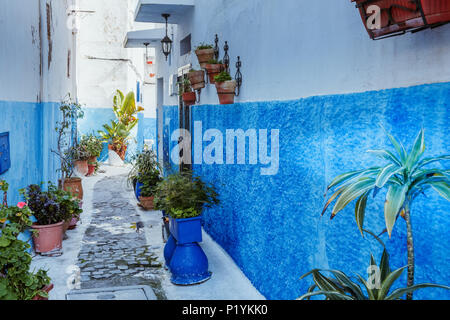 Kleine Straßen in Blau und Weiß in der kasbah von Alte Stadt Rabat in Marokko Stockfoto