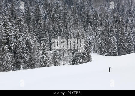 Vogesen. La Bresse Hohneck. Wald der Vogesen im Winter. Wanderer auf Schneeschuhen im Vordergrund. Stockfoto
