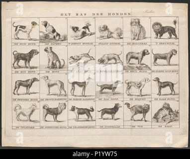 . Canis Lupus Familiaris. Zwischen 1700 und 1880 49 Canis Lupus Familiaris - 1700-1880 - Drucken - Iconographia Zoologica - Sondersammlungen Universität Amsterdam - UBA01 IZ 22300025 Stockfoto