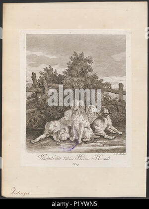 . Canis Lupus Familiaris. Zwischen 1700 und 1880 50 Canis Lupus Familiaris - 1700-1880 - Drucken - Iconographia Zoologica - Sondersammlungen Universität Amsterdam - UBA01 IZ 22300409 Stockfoto