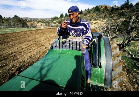 Bauern arbeiten auf seinem Traktor in der Nähe von Mas del Olmo (Rincón de Ademuz Region). Stockfoto