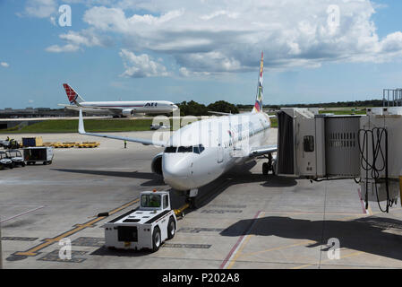 Zum Internationalen Flughafen Tampa Florida USA. 2018. Ein Cayman Airways zurück vom Ständer geschoben. Stockfoto