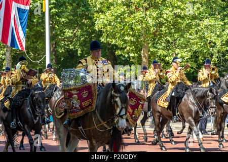 Ein Trommelpferd der Household Cavalry Band beim Spaziergang entlang der Mall bei der Trooping the Color oder der Queens Birthday Parade, London, Großbritannien , 2018 Stockfoto