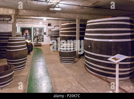 Apfelwein Bottiche, in den Kellern der Hereford Cider Museum, Hereford, Herefordshire, England, Großbritannien Stockfoto