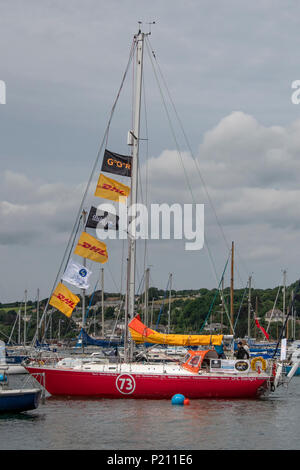 Susie Goodall die nur Frau im Rennen um die Welt segeln auf ihrer Yacht, DHL Starlight für den Golden Globe race. in Falmouth Cornwall Susie Goodall Rettungsaktion ist jetzt unterwegs eine Britische mit dem Boot unterwegs die nur Frau im Rennen um die Welt segeln auf ihrer Yacht, DHL Starlight für den Golden Globe race zu speichern. in Falmouth Cornwall rou Stockfoto