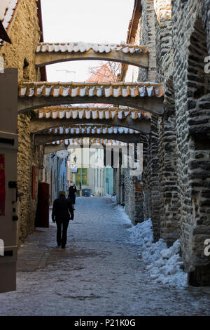 Katariina Käik (St. Catherine's Passage), Linn, Tallinn, Estland: Eine mittelalterliche Gasse zwischen Ader und Mrivahe. MODEL RELEASED Stockfoto