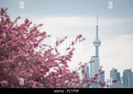 Frühling in Toronto, Ontario, als von der beliebten Leslie Street Spit gesehen. Stockfoto