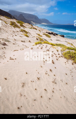 Dünen mit einigen Wüstenpflanzen in atemberaubenden öde Landschaft der atlantischen Küste. Baia Das Gatas, nördlich von Calhau, Insel Sao Vicente Kap Verde Stockfoto