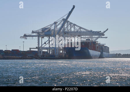 Zwei COSCO-Schiffe, Containerschiffe, die im Hafen von Long Beach, Kalifornien, USA laden und entladen. Stockfoto