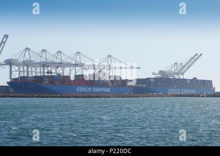 Zwei COSCO-VERSCHIFFUNGEN, Containerschiffe, die im Long Beach Container Terminal, Kalifornien, USA, geladen und entladen werden. Stockfoto