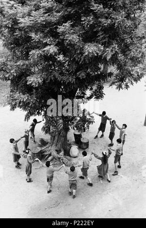 Original Film Titel: EL OTRO ARBOL DE GUERNICA. Englischer Titel: EL OTRO ARBOL DE GUERNICA. Regisseur: PEDRO LAZAGA. Jahr: 1969. Credit: PEDRO MASO P.C. /Album Stockfoto