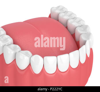 3D-Render von Kiefer mit Zähnen auf weißem Hintergrund Stockfoto