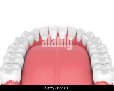3D-Render von Kiefer mit Zähnen auf weißem Hintergrund Stockfoto