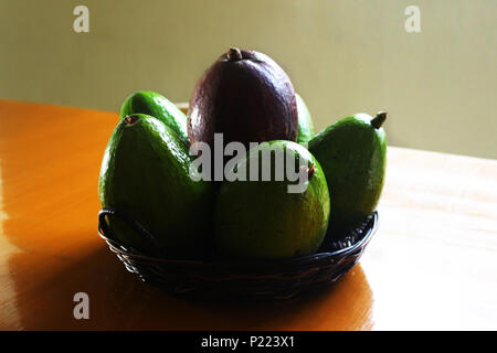 Frisch gepflückt Avocado Stockfoto