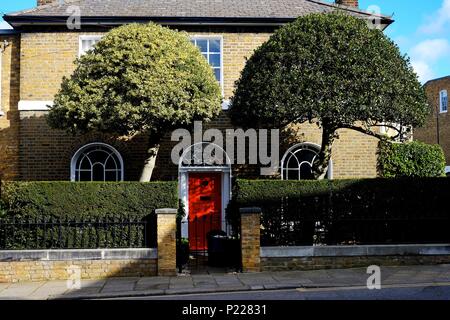 Zwei symmetrische Bäume vor einem Haus an einem sonnigen Tag in Islington, London Stockfoto