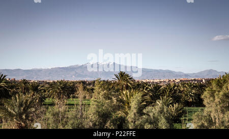 Marokko, Quarzazate, N9 Road, Landschaft, Natur, Palm Grove Stockfoto