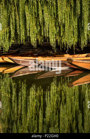 Reflexion von Ruderbooten auf dem Neckar in Deutschland Stockfoto