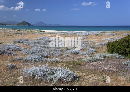 Italien, Sardinien, Ostküste, Castiadas, Cala di Sinzias, in der Nähe von Villasimius, Stockfoto