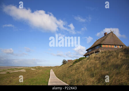 Haus in den Dünen, Amrum, Insel Amrum, Nordsee, Nationalpark Schleswig-Holsteinisches Wattenmeer, Schleswig-Holstein, Deutschland, Stockfoto