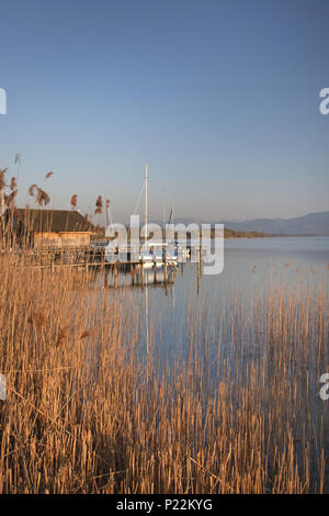 Bootshaus und Boote in Chiemsee, Seeon-Seebruck, Chiemgau, Oberbayern, Bayern, Süddeutschland, Deutschland, Stockfoto